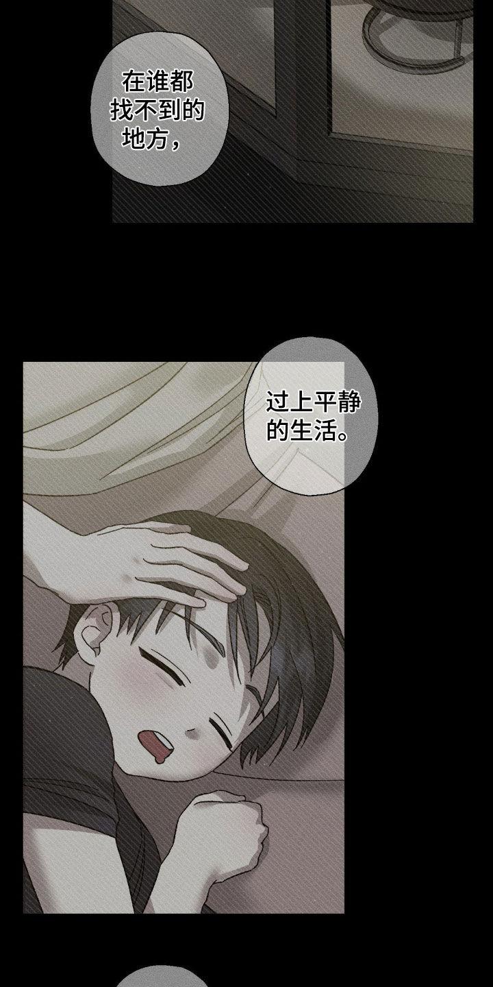 《特写爱意》第29章：还是来了 第12页