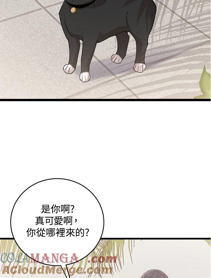 《木头男的恋爱顾问》第75话 第70页