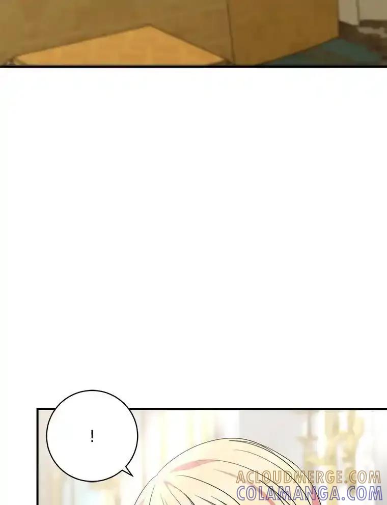 公爵夫人的秘密执笔 63.理解自己的人 第25页