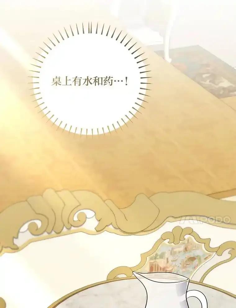 公爵夫人的秘密执笔 63.理解自己的人 第27页