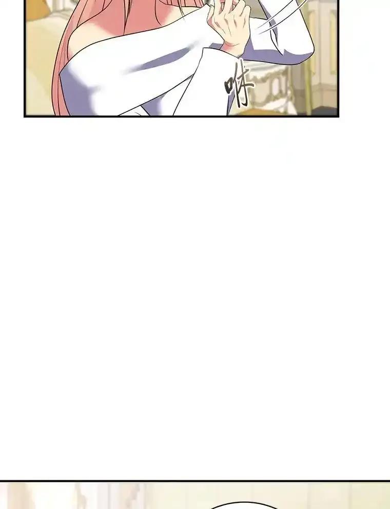 公爵夫人的秘密执笔 63.理解自己的人 第23页