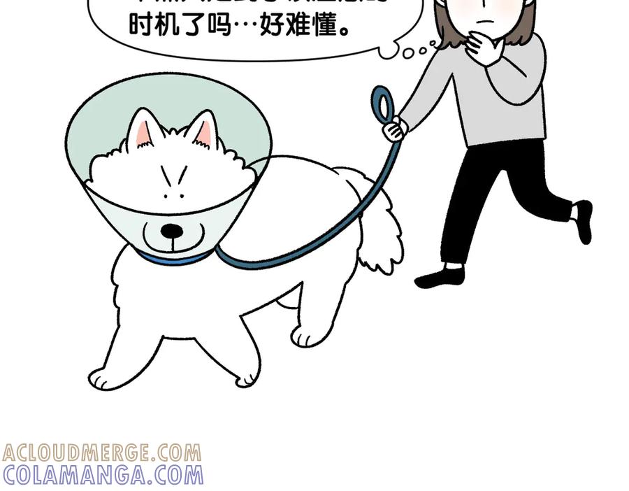 《我的狗子叫棉花》第44话 治疗眼病(3) 第22页