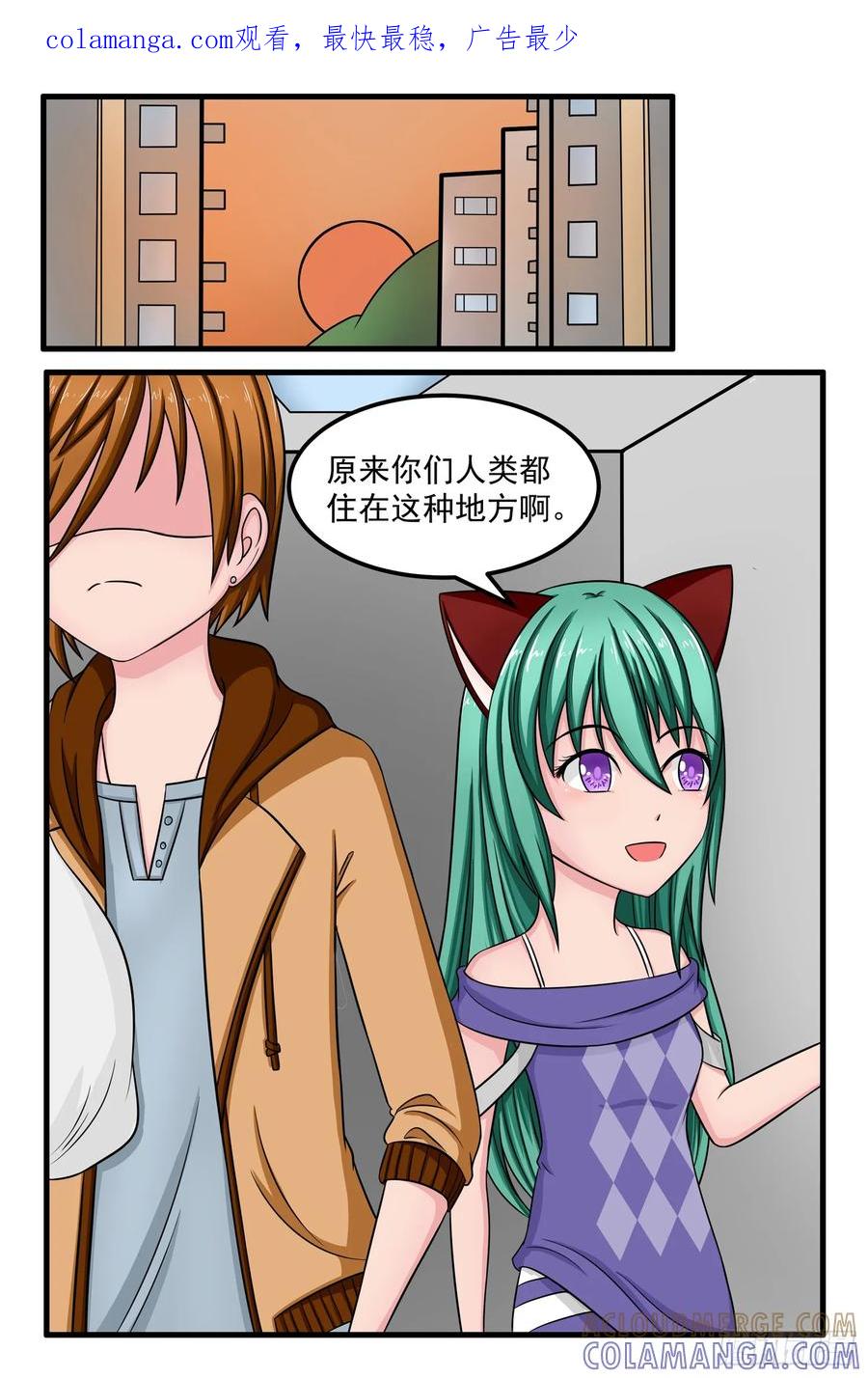 《猫咪狐狸闯天下》007.戴晓阳 第1页