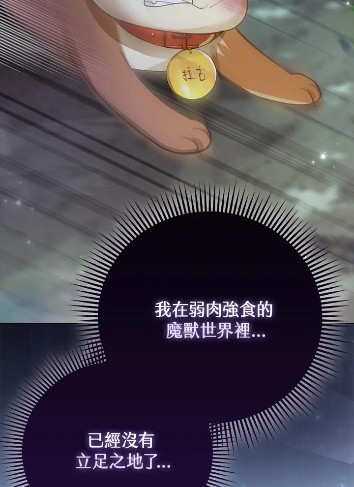《反派千金的稻米栽培法》第21话 第78页