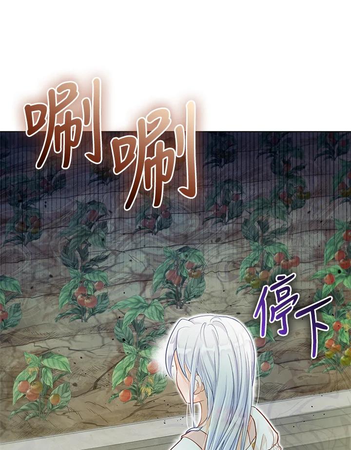 《反派千金的稻米栽培法》第24话 第7页