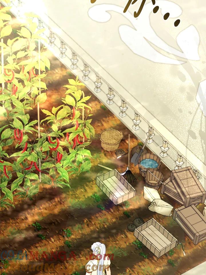《反派千金的稻米栽培法》第33话 第89页