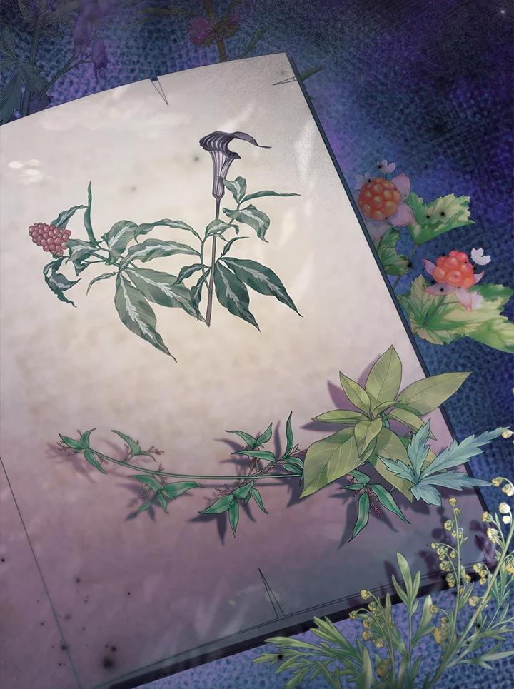 《反派千金的稻米栽培法》第34话 第71页