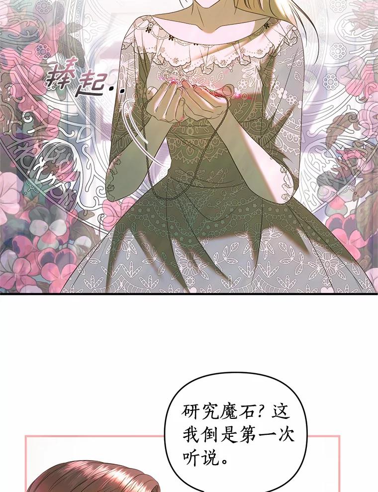 《与陛下同寝的生存法则》37.魔石 第8页