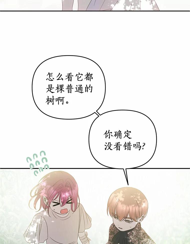《与陛下同寝的生存法则》42.你是谁？ 第65页