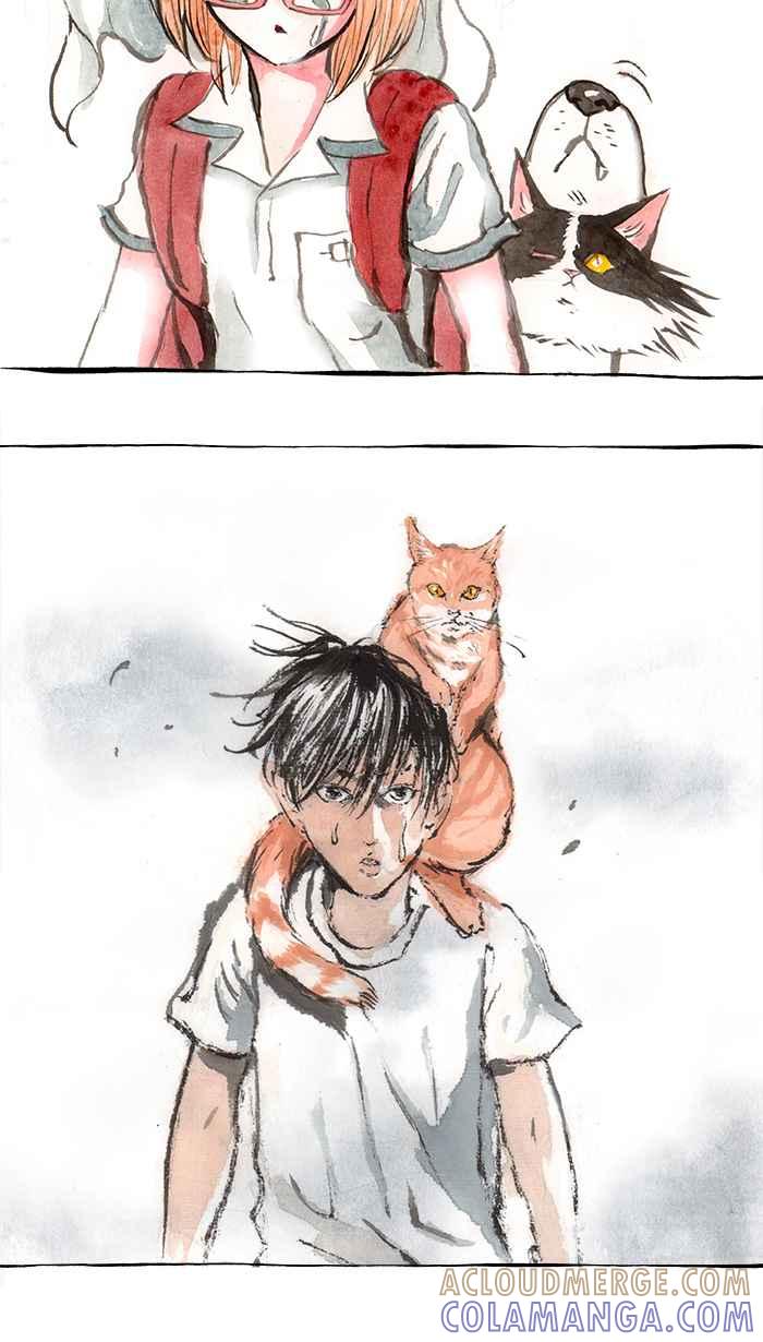 猫剑客 [第92话] 折翼天使 参拾伍，身世之谜 第33页