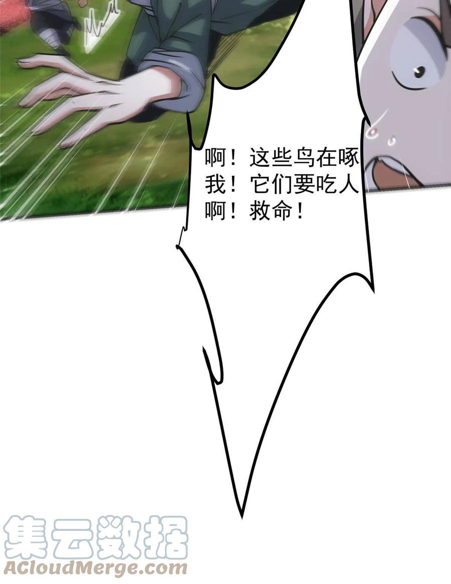掌门低调点 100 群鸟灾祸 第13页