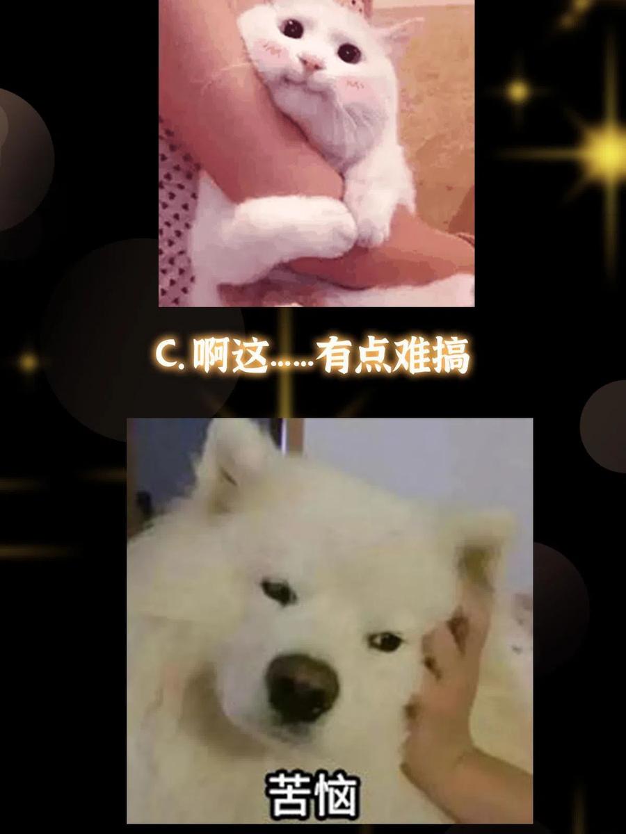 掌门低调点 149 藏得深啊！ 第66页