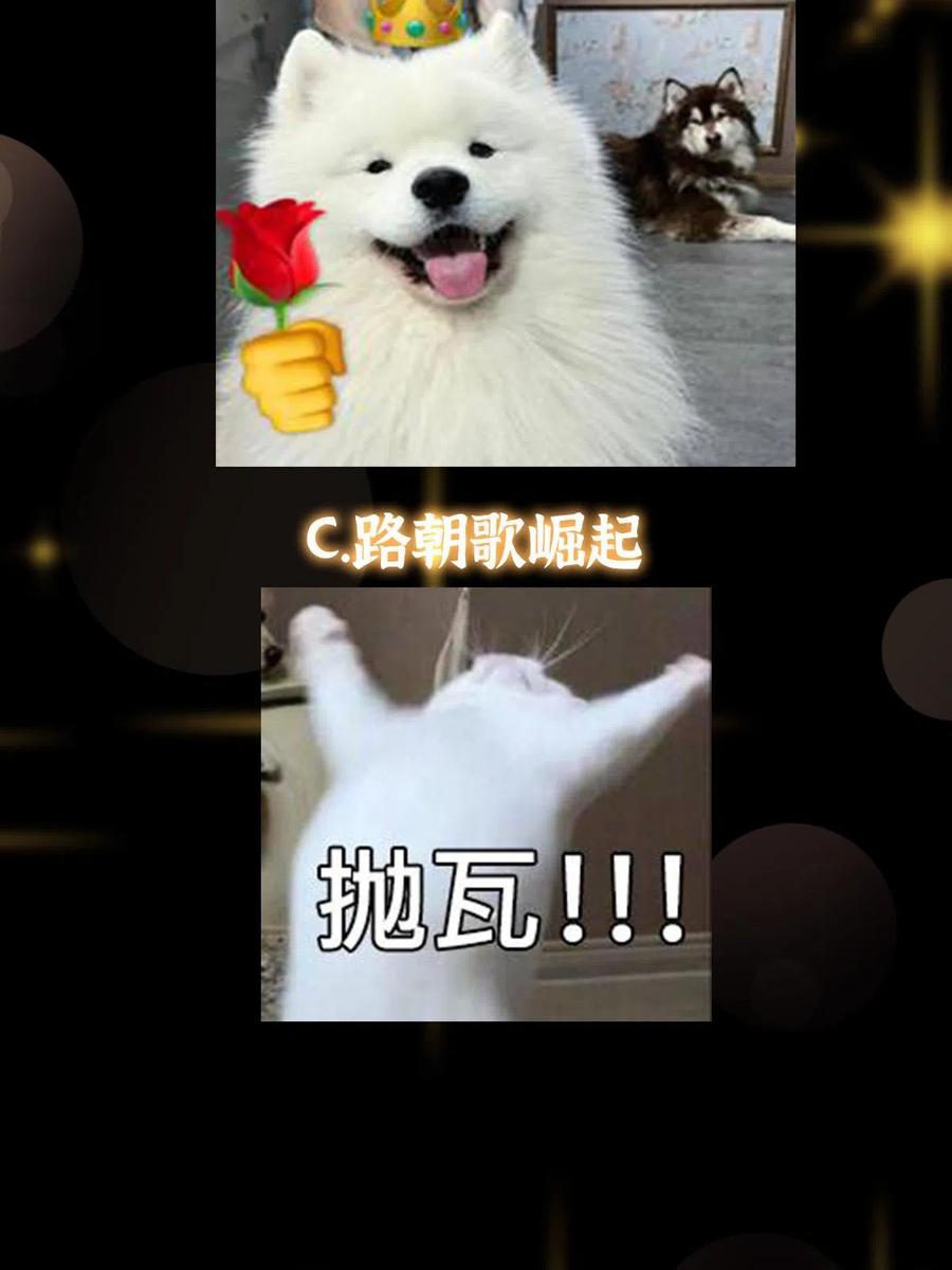 掌门低调点 161 生死攸关之际 第65页