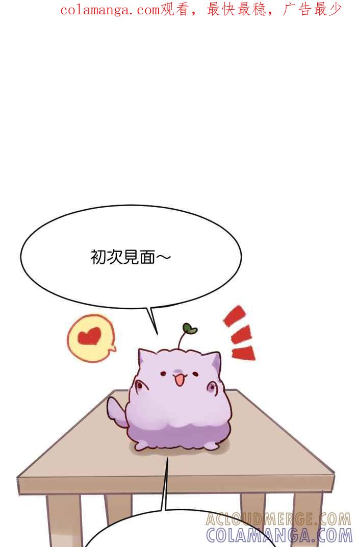 《倾恋的蜜封罐》休刊-- 介绍衣服 第1页