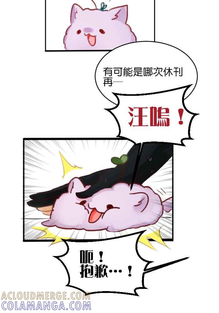 《倾恋的蜜封罐》休刊-- 介绍衣服 第11页