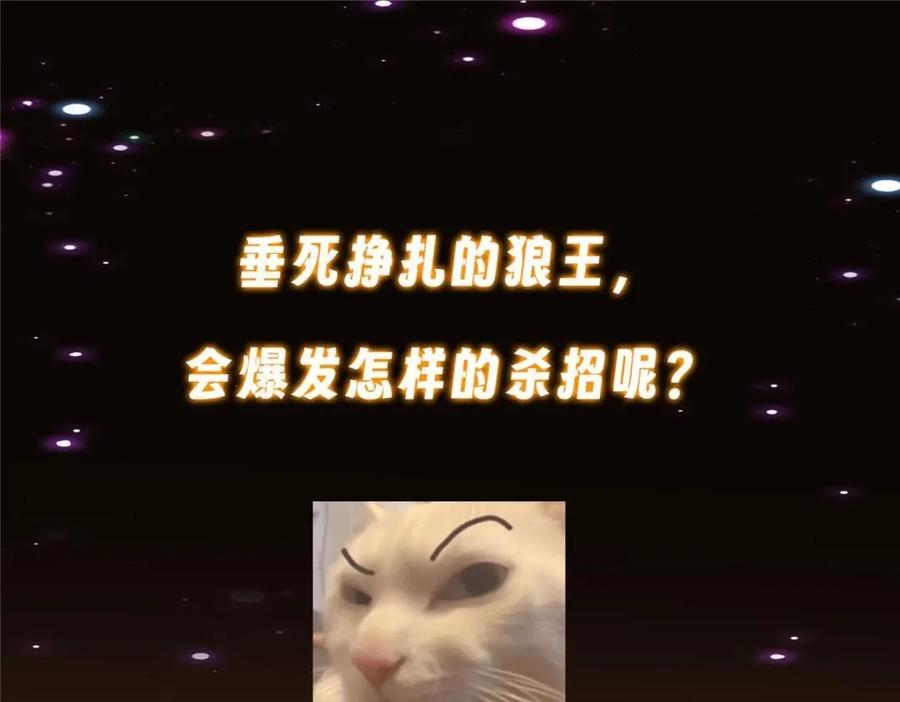 掌门低调点 240 这一剑，雪停 第171页