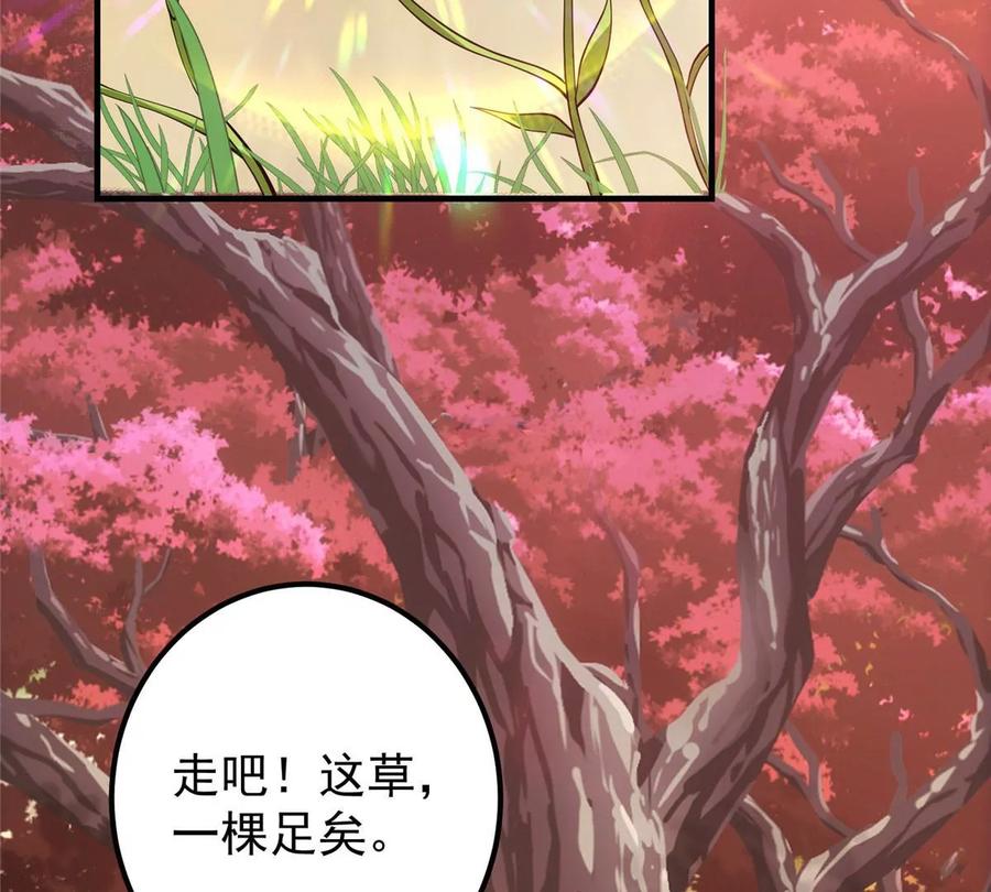 掌门低调点 006 我的天地启灵！ 第11页