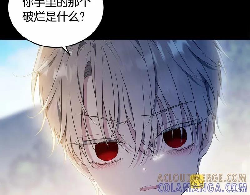 《明明是冷美人小姐却变成了忠犬大少爷》第96话 第133页