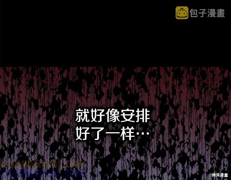 《明明是冷美人小姐却变成了忠犬大少爷》第96话 第117页
