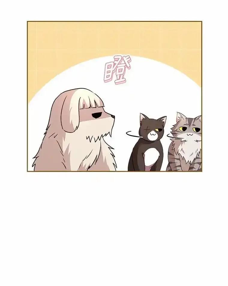 《你好？兽医先生！》60.我的哥哥（1） 第12页