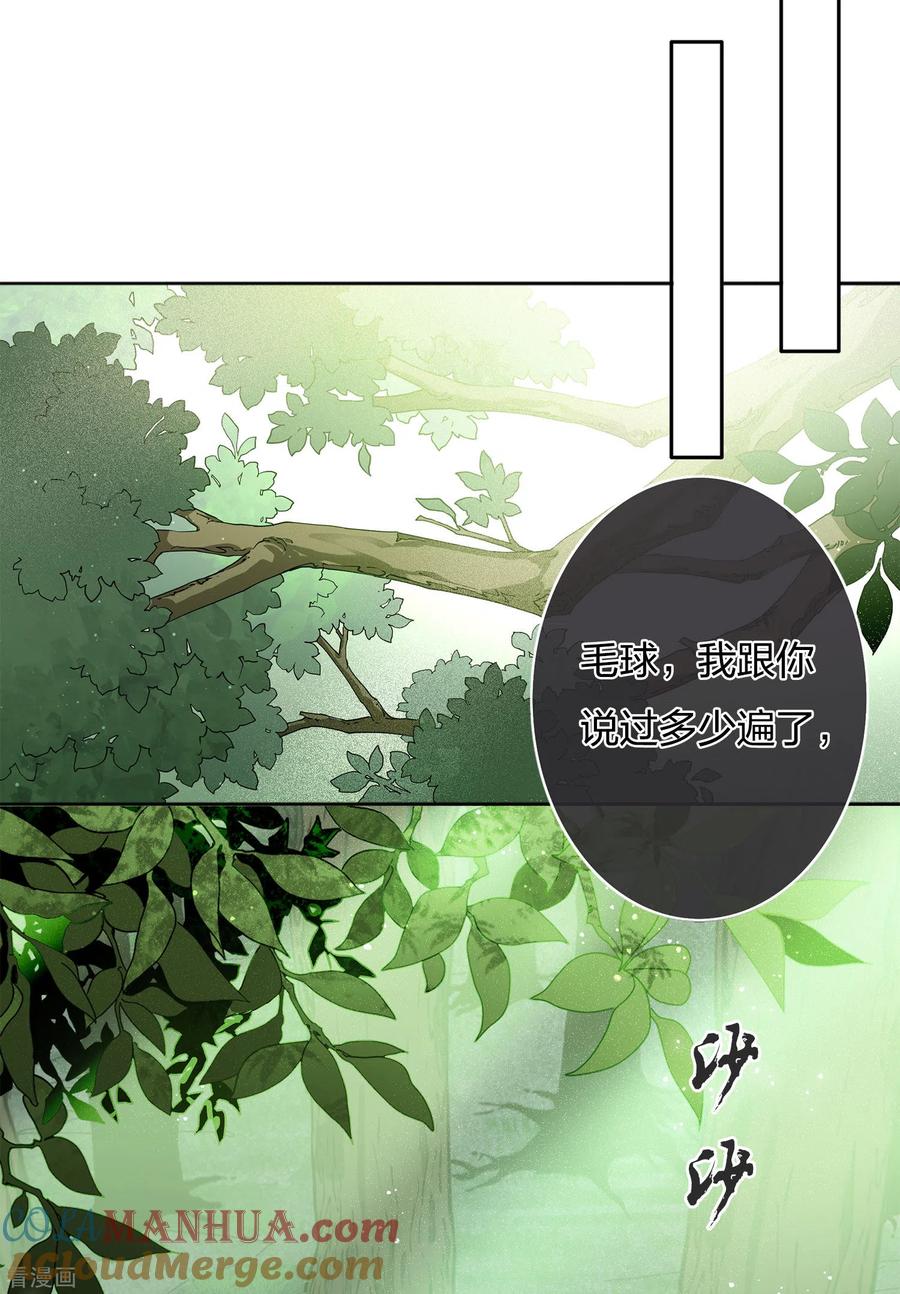 长相思 第10话 白羽金冠雕2 第35页