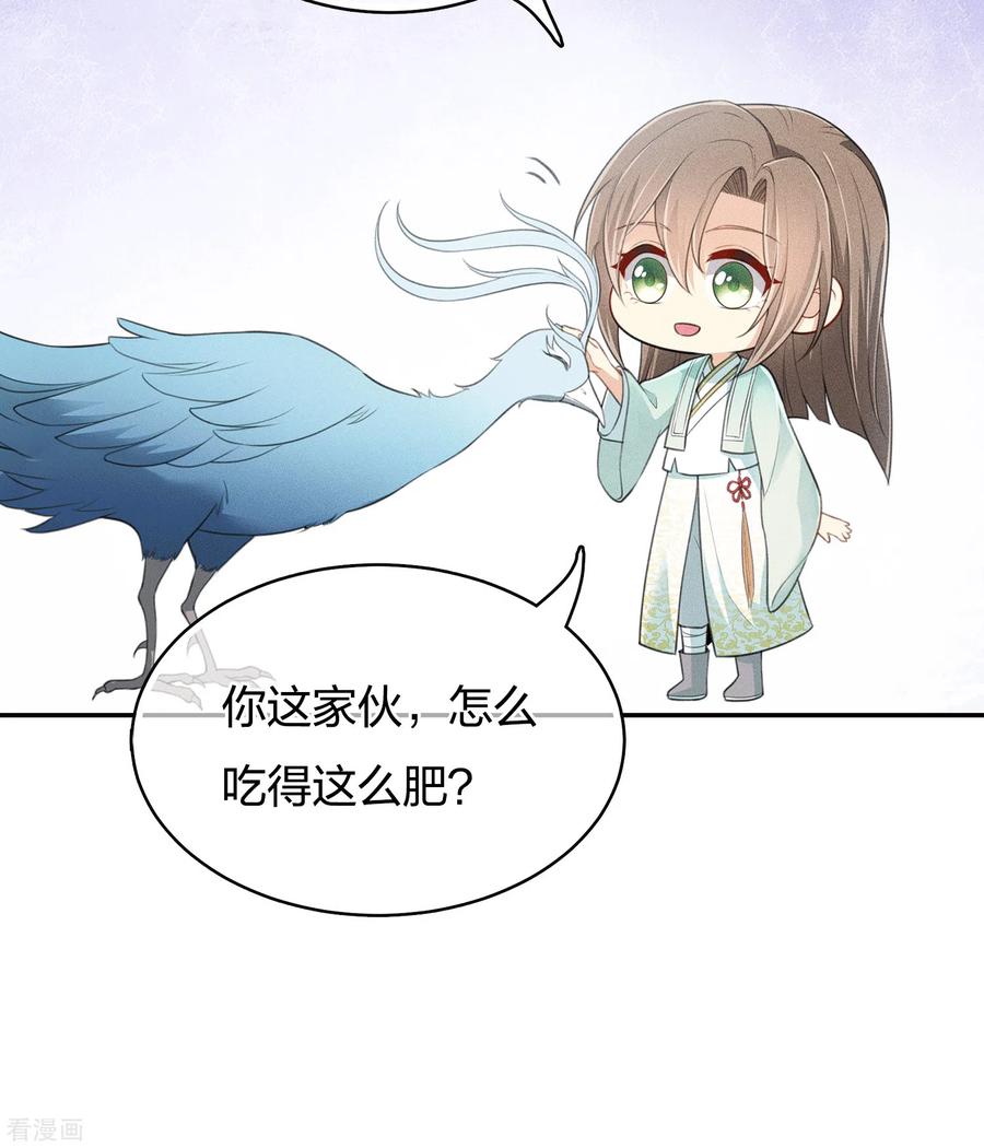 长相思 第75话 玄鸟 第12页