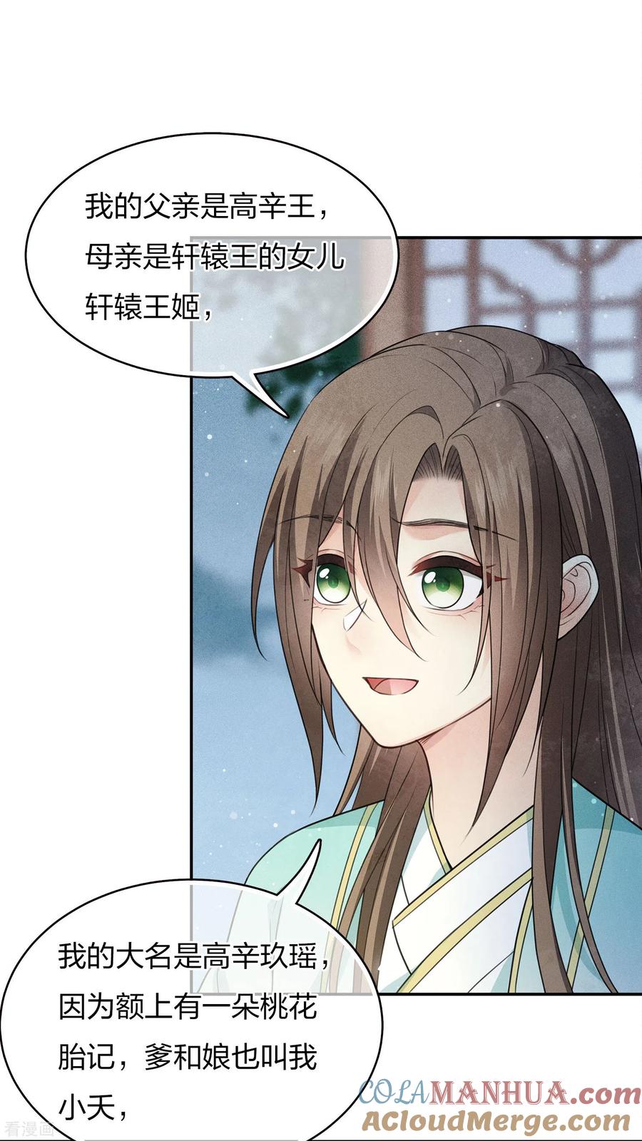 长相思 第79话 王姬 第29页