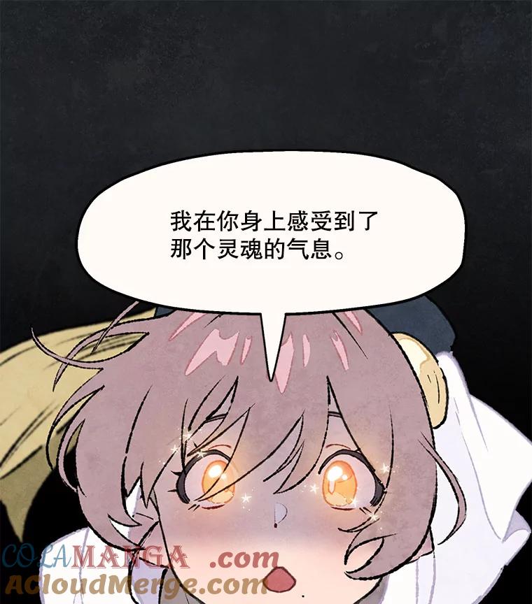 《在流星坠落之处等待》92.瘟疫魔女的村庄（2） 第67页