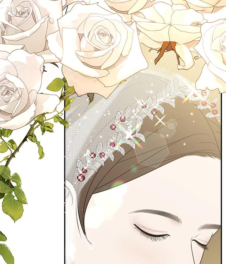 《替吸血鬼吃饭的我》105.婚礼-蜜糕 第69页