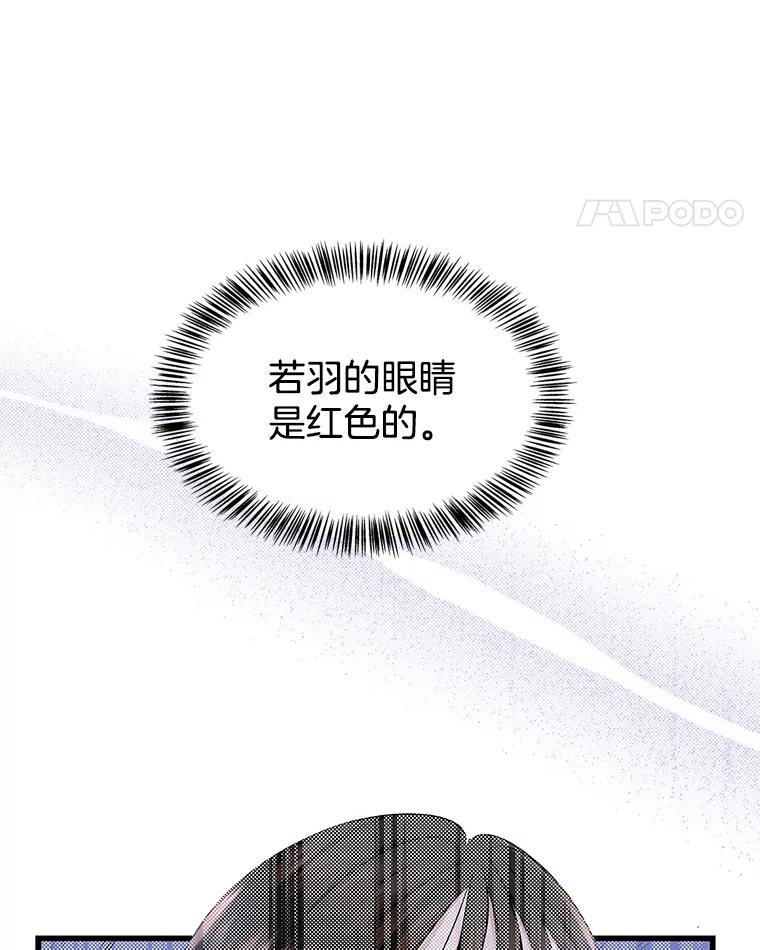 《替吸血鬼吃饭的我》119.吸血鬼猎人 第11页