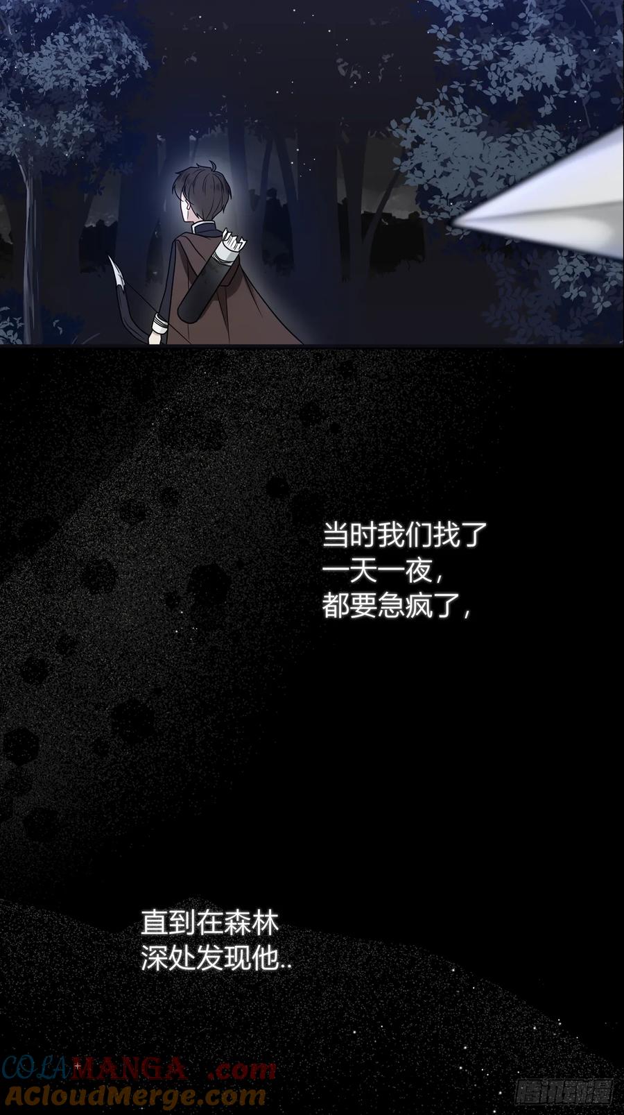 《战纪恋歌》他的过去 第43页