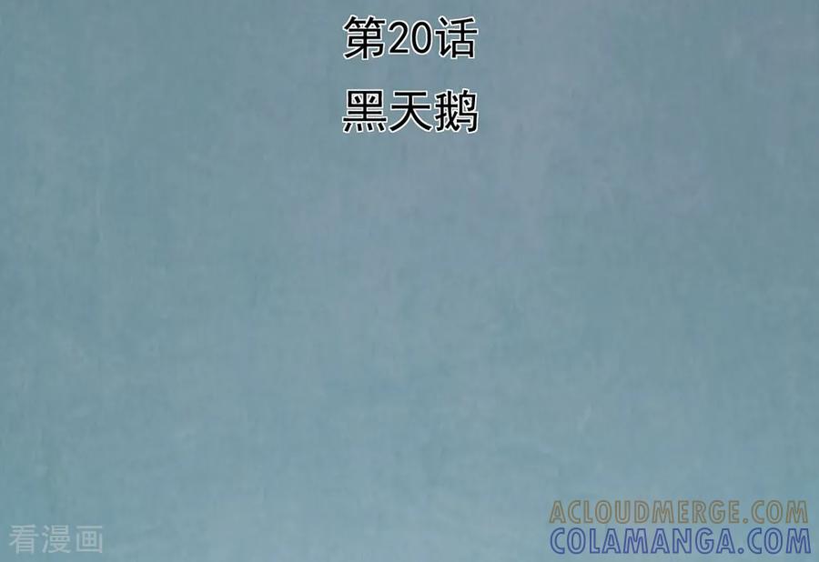 《挑战者还是空想家》第20话 黑天鹅 第3页