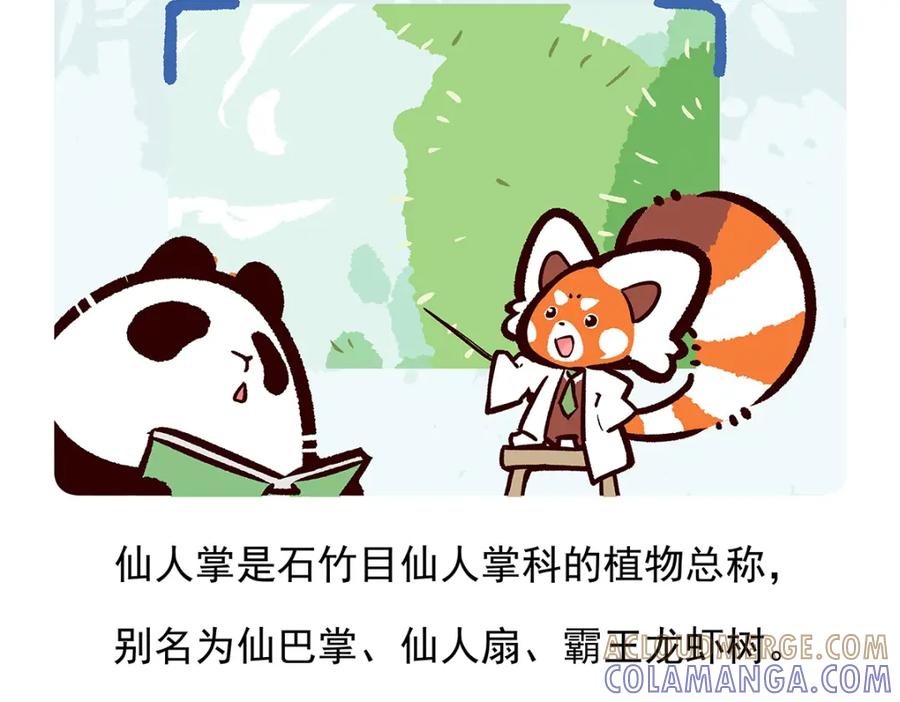 《胖达x胖达》第77话 第27页
