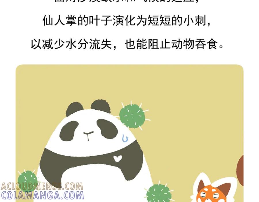 《胖达x胖达》第77话 第29页