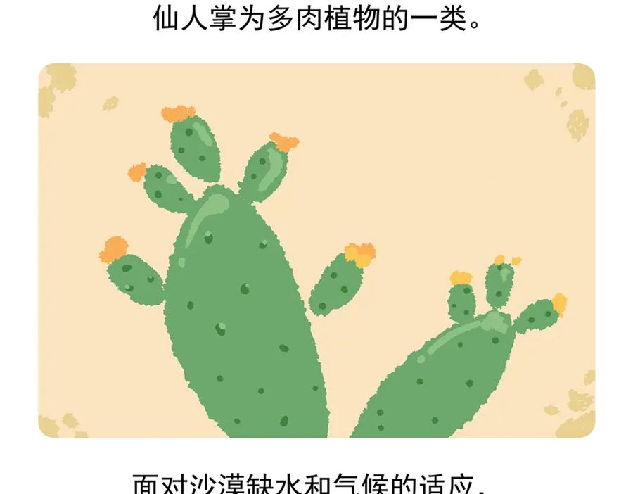 《胖达x胖达》第77话 第28页