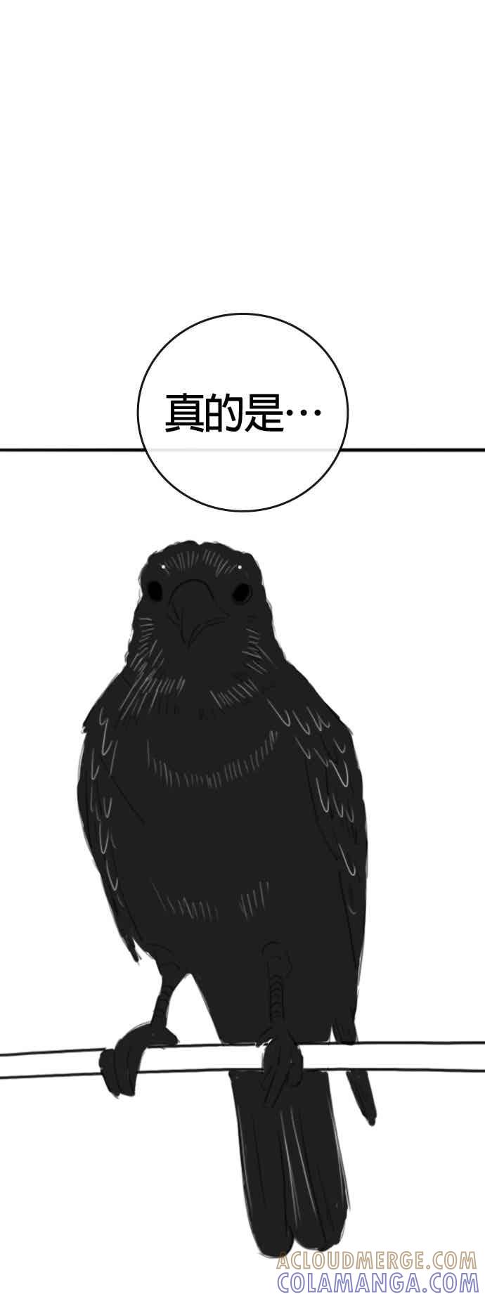 《现实闯关》特别篇：崔宣载的恐怖故事 第58页