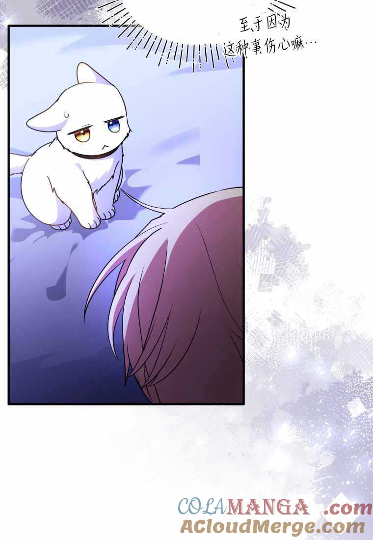成为苏尔坦珍爱的猫咪 第40话 第67页
