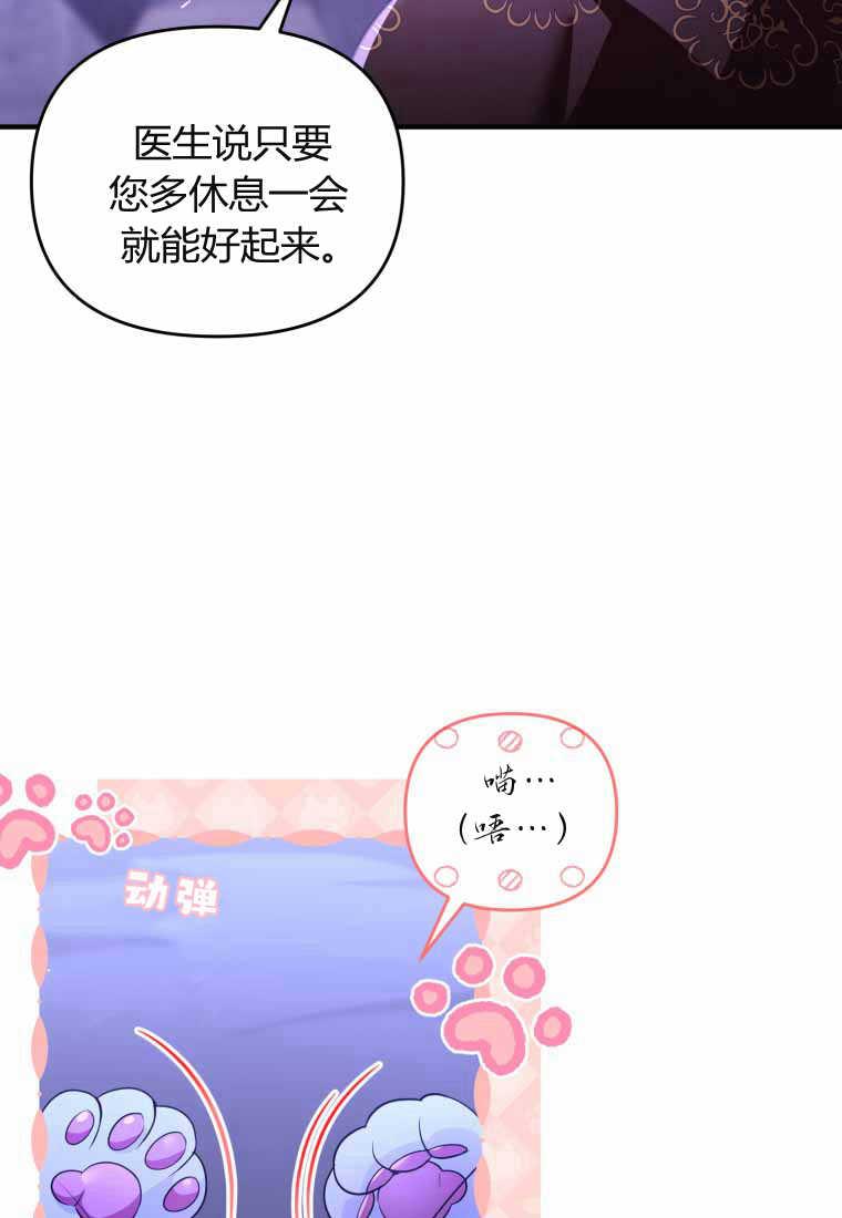 成为苏尔坦珍爱的猫咪 第40话 第41页