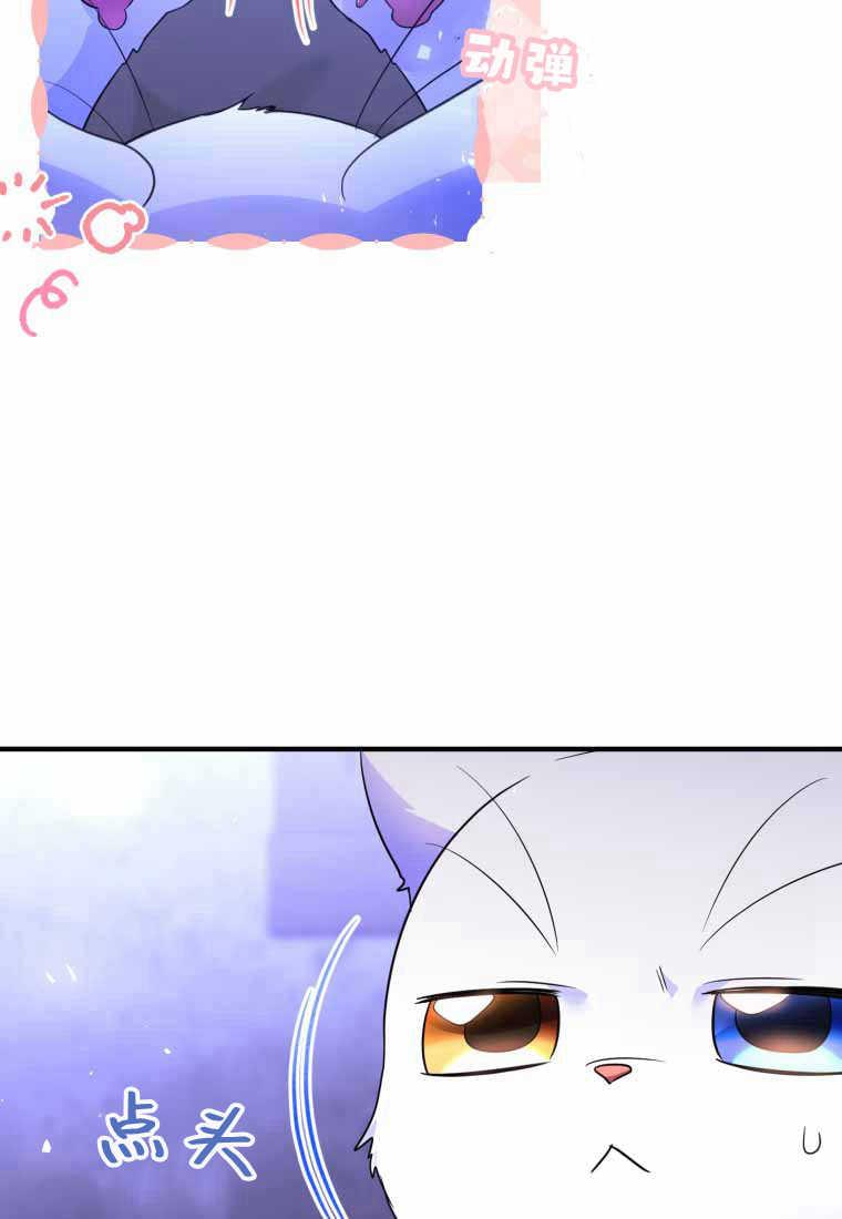成为苏尔坦珍爱的猫咪 第40话 第42页