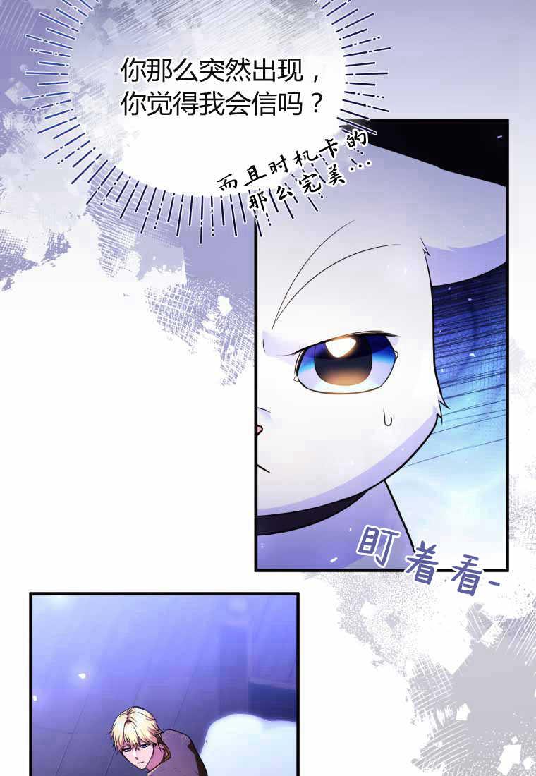 成为苏尔坦珍爱的猫咪 第40话 第51页