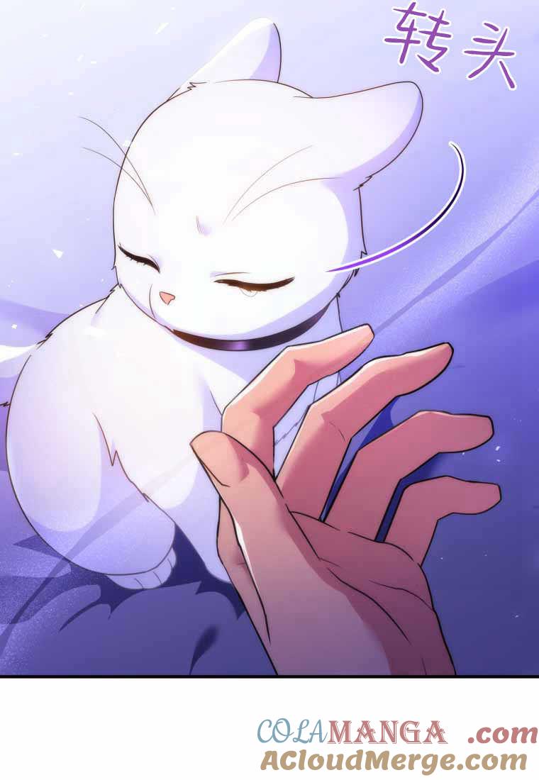 成为苏尔坦珍爱的猫咪 第40话 第64页