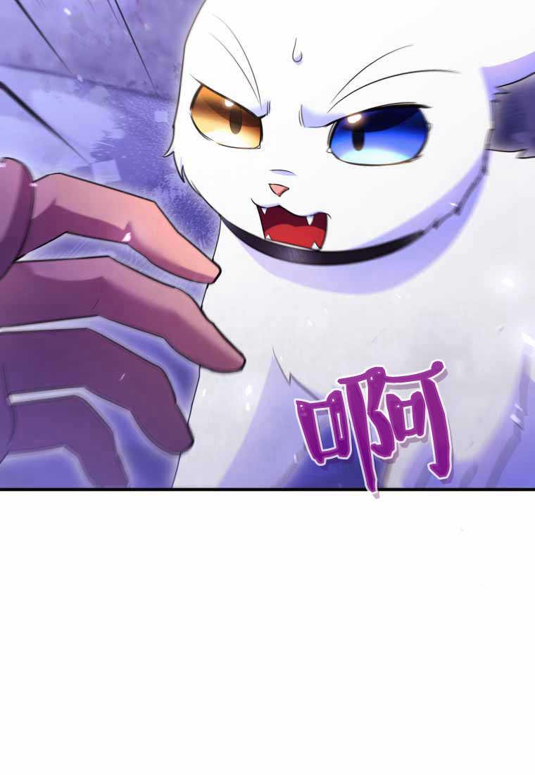 成为苏尔坦珍爱的猫咪 第40话 第45页