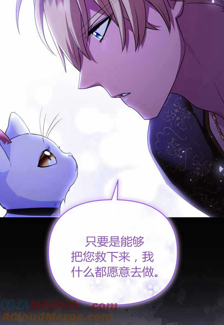 成为苏尔坦珍爱的猫咪 第40话 第55页