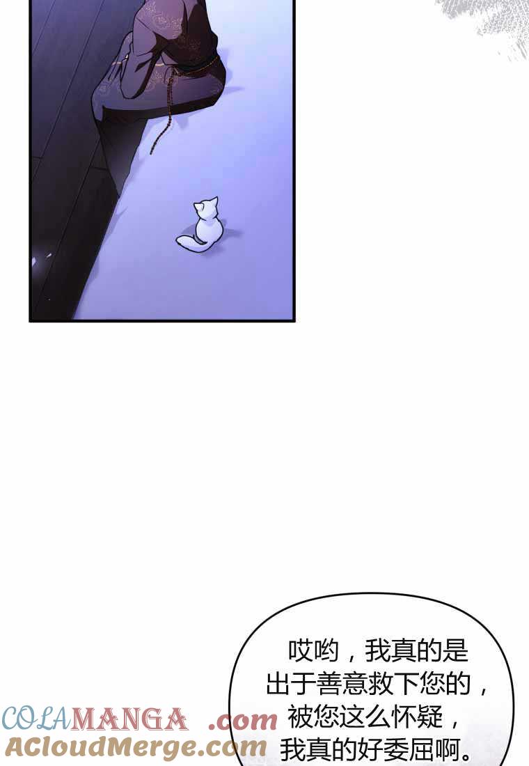 成为苏尔坦珍爱的猫咪 第40话 第52页