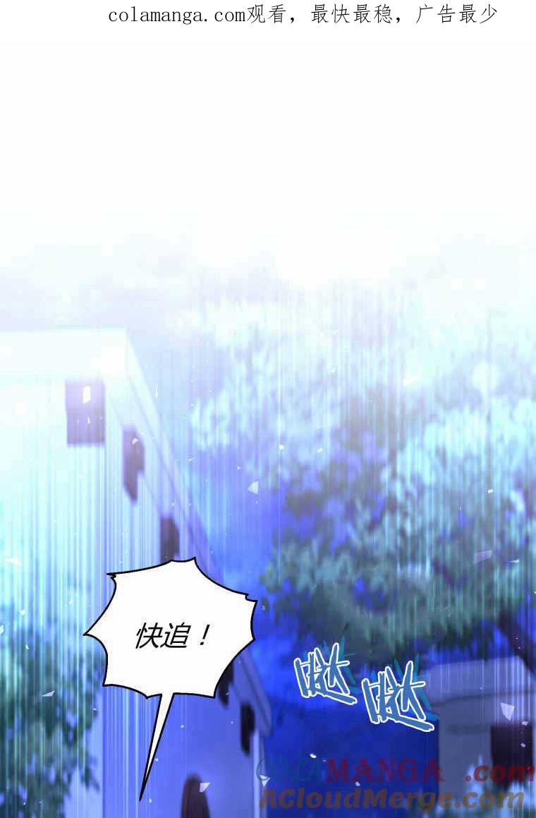 成为苏尔坦珍爱的猫咪 第40话 第1页