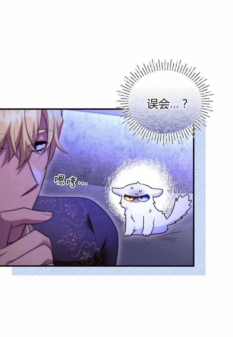 成为苏尔坦珍爱的猫咪 第40话 第48页