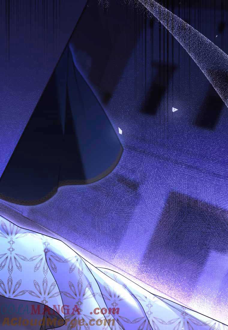 成为苏尔坦珍爱的猫咪 第40话 第28页
