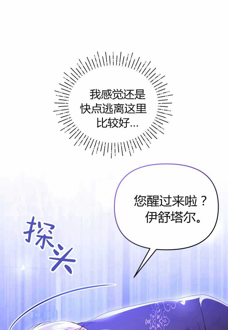 成为苏尔坦珍爱的猫咪 第40话 第35页