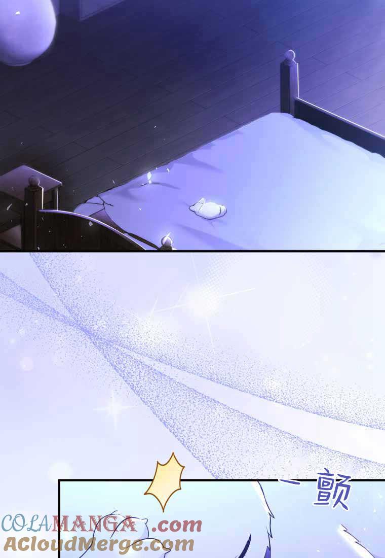 成为苏尔坦珍爱的猫咪 第40话 第31页
