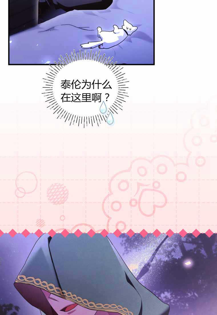 成为苏尔坦珍爱的猫咪 第40话 第38页
